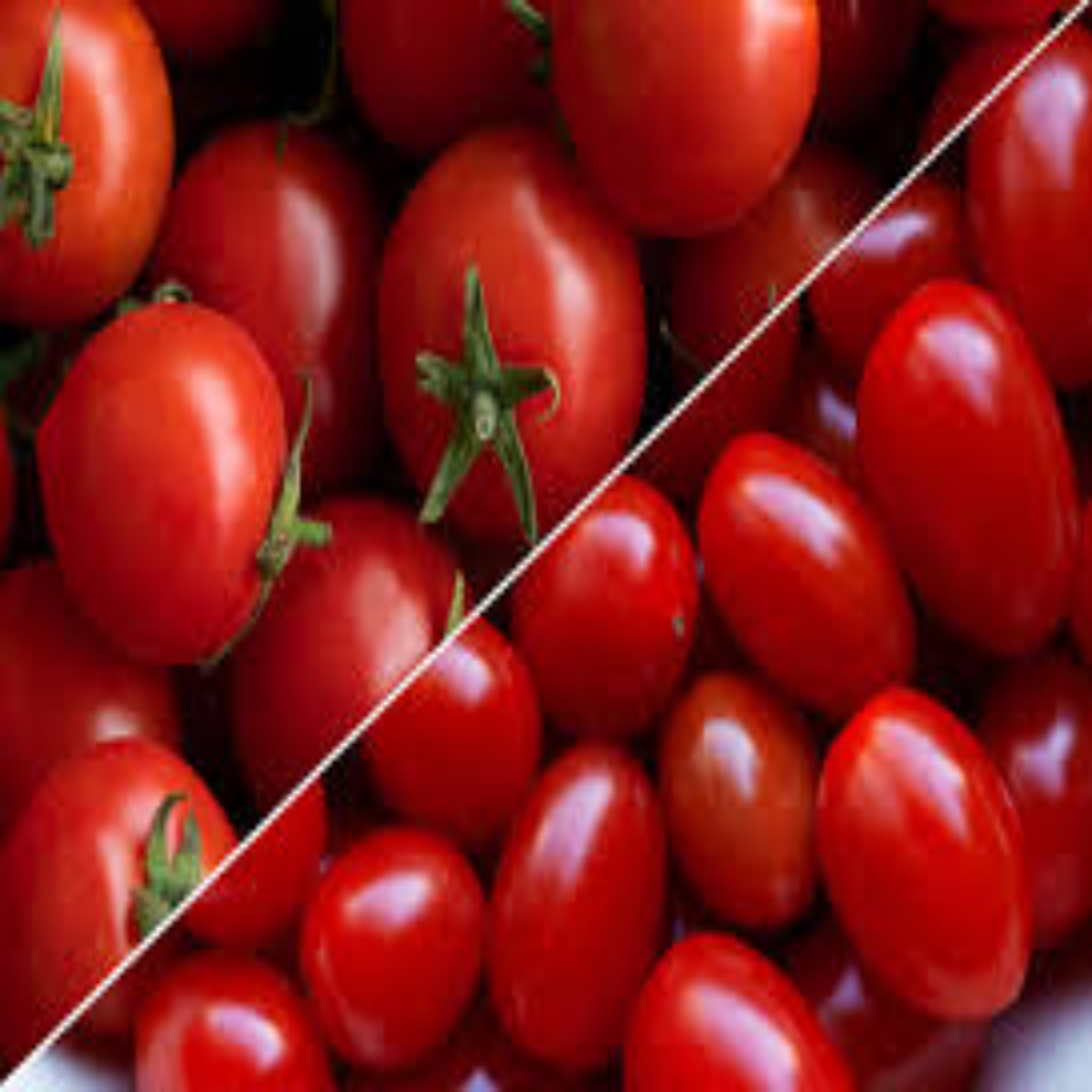 Wholesale Cherry Tomato Oman